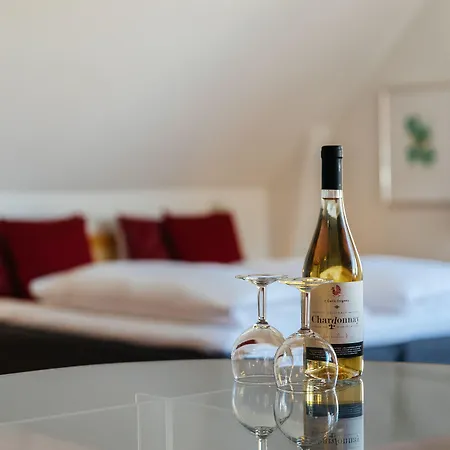 Отель Palads 3*