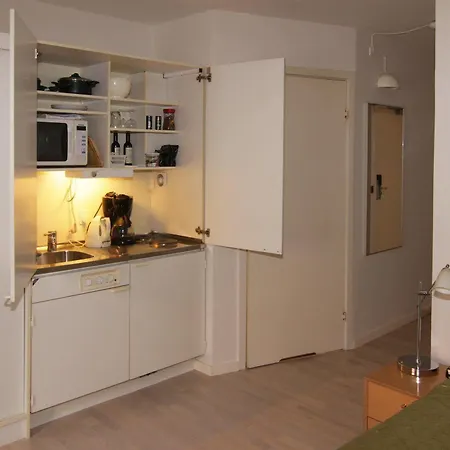 Palads 3* וויבורג